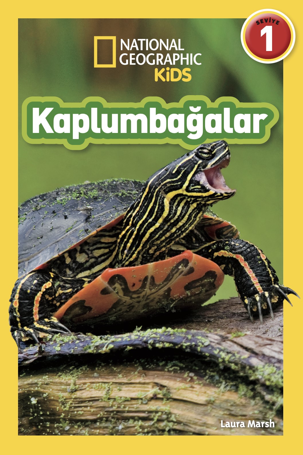 Kaplumbağalar - National Geographic Kids