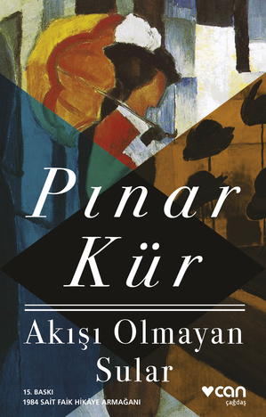 Akışı Olmayan Sular