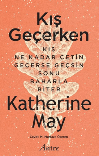 Kış Geçerken