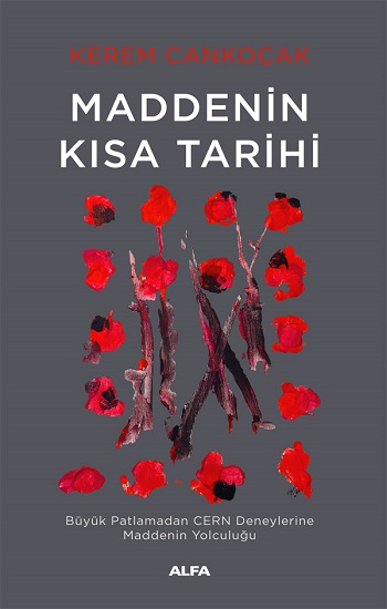 Maddenin  Kısa Tarihi