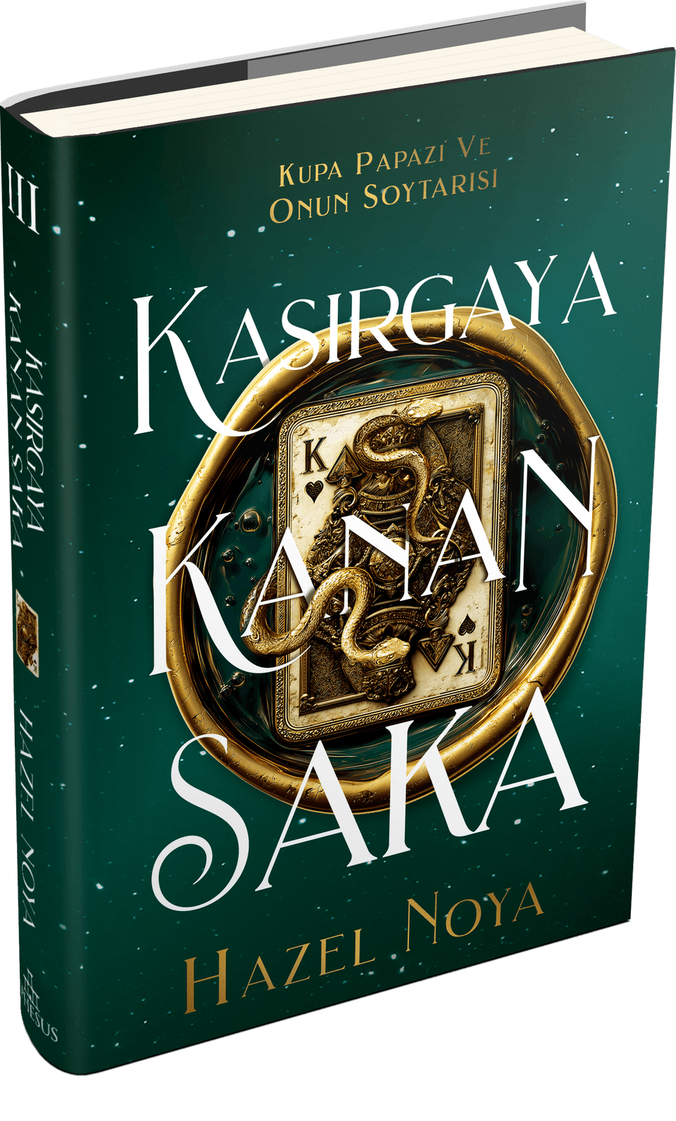 Kasırgaya Kanan Saka 3 - Ciltli