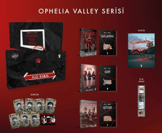 Saklambaç Serisi Kutulu Set (Ciltli)