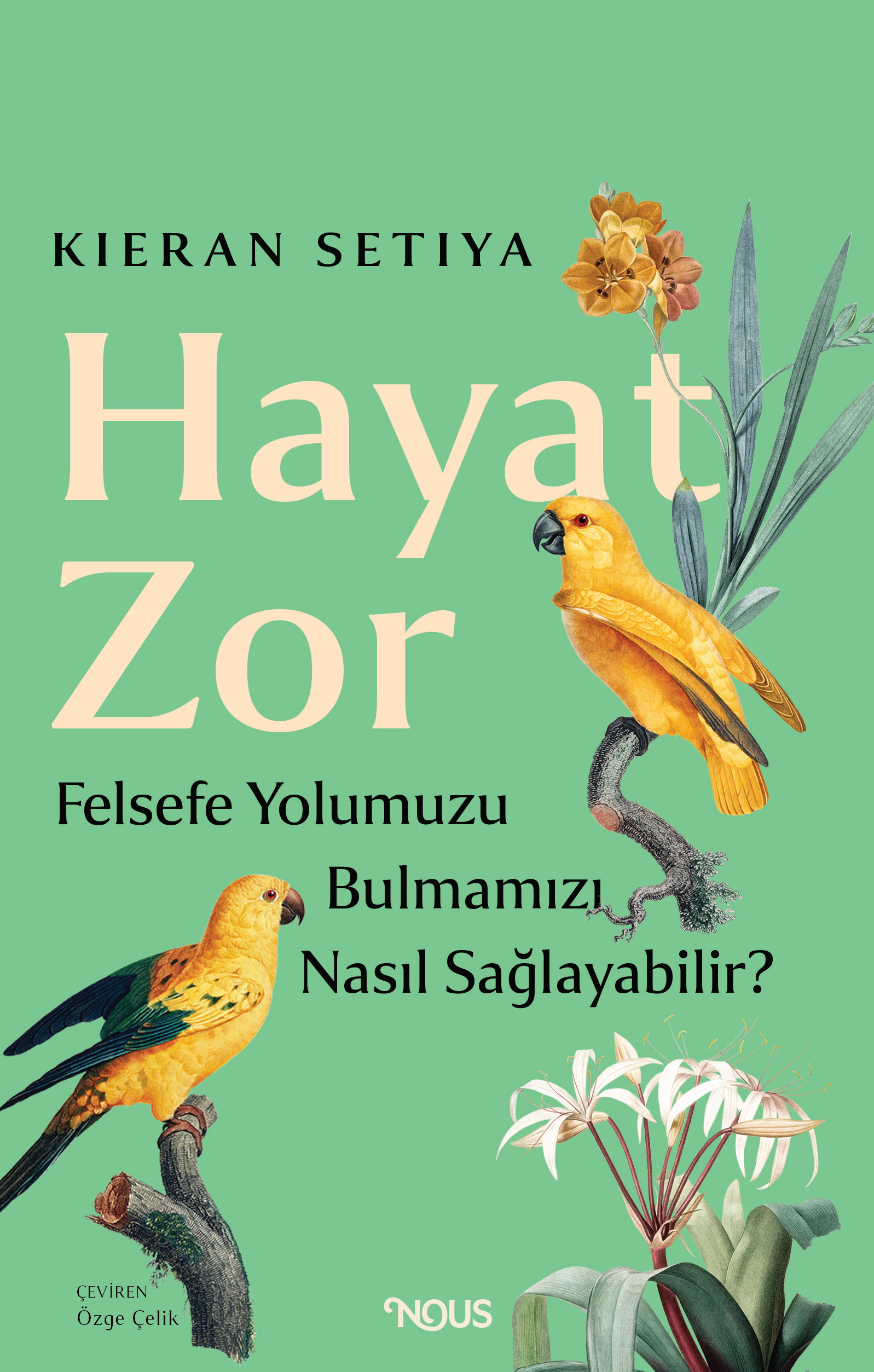 Hayat Zor (Fleksi)