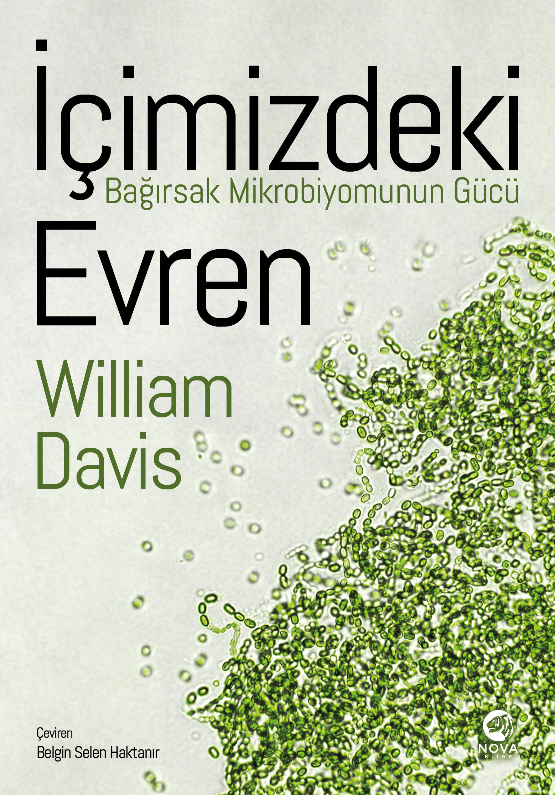 İçimizdeki Evren: Bağırsak Mikrobiyomunun Gücü