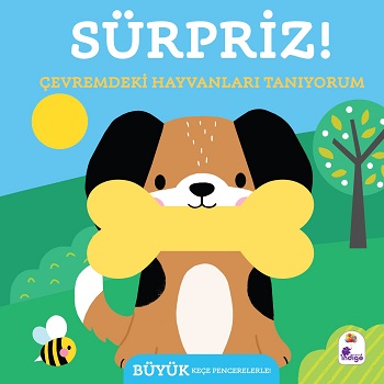 Sürpriz! – Çevremdeki Hayvanları Tanıyorum (Ciltli)
