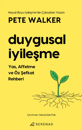 Duygusal İyileşme