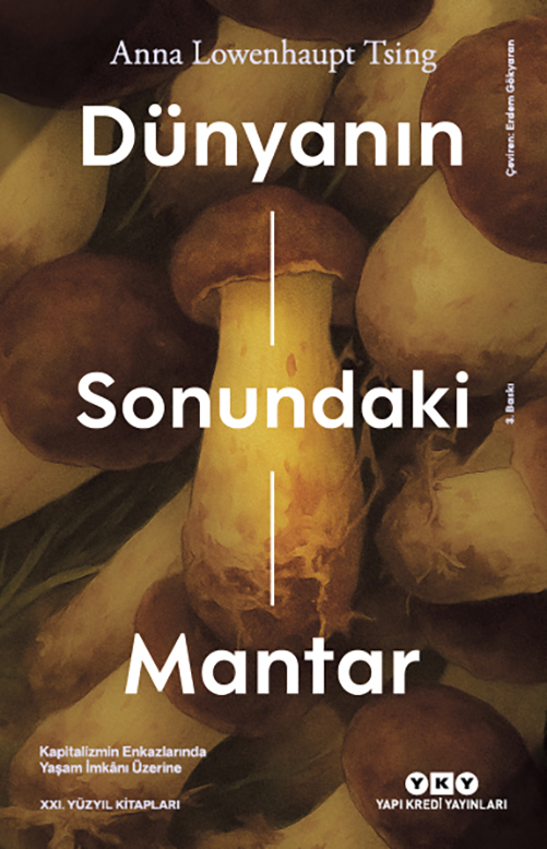 Dünyanın Sonundaki Mantar – Kapitalizmin Enkazlarında Yaşam İmkanı Üzerine