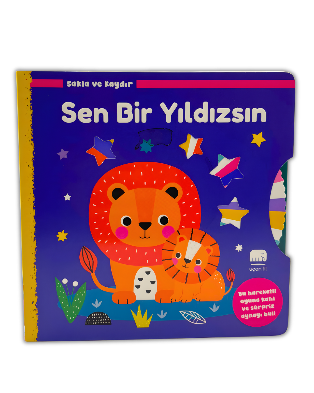 Sen Bir Yıldızsın