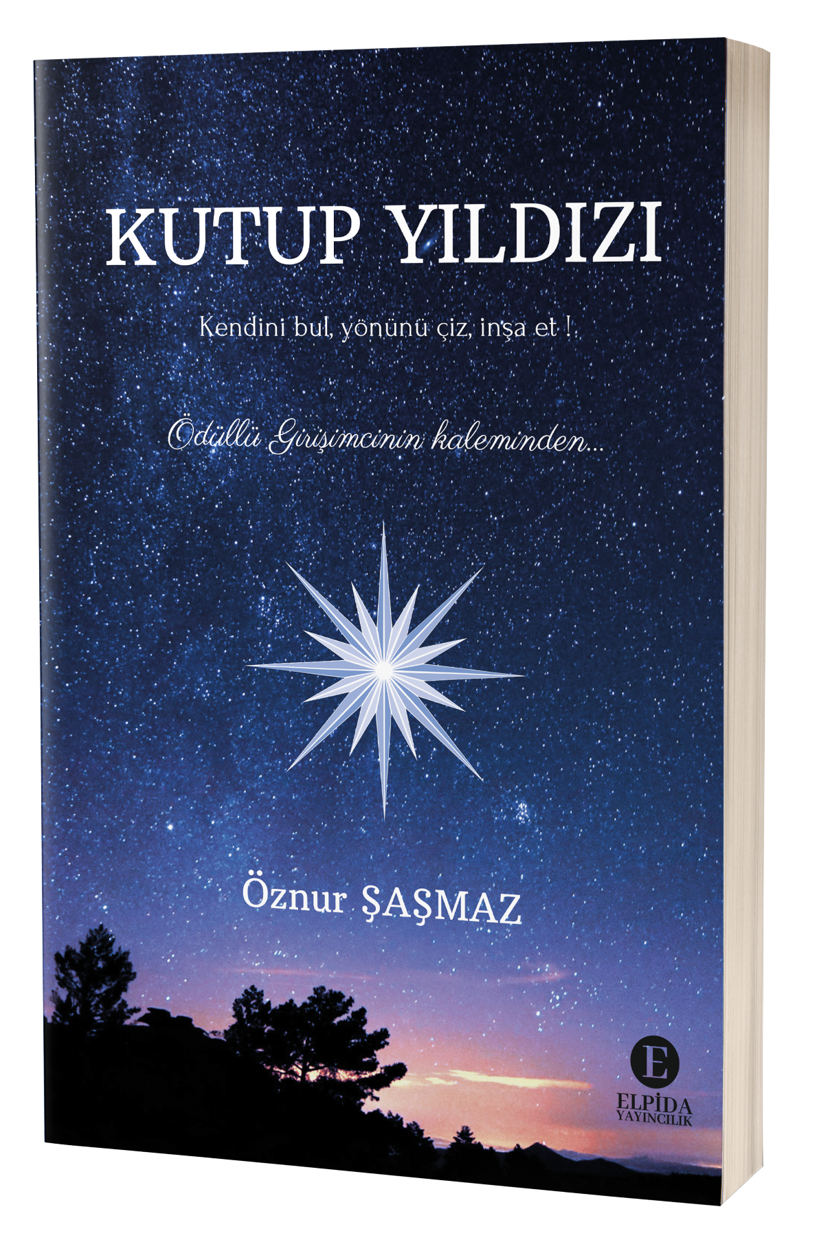 Kutup Yıldızı