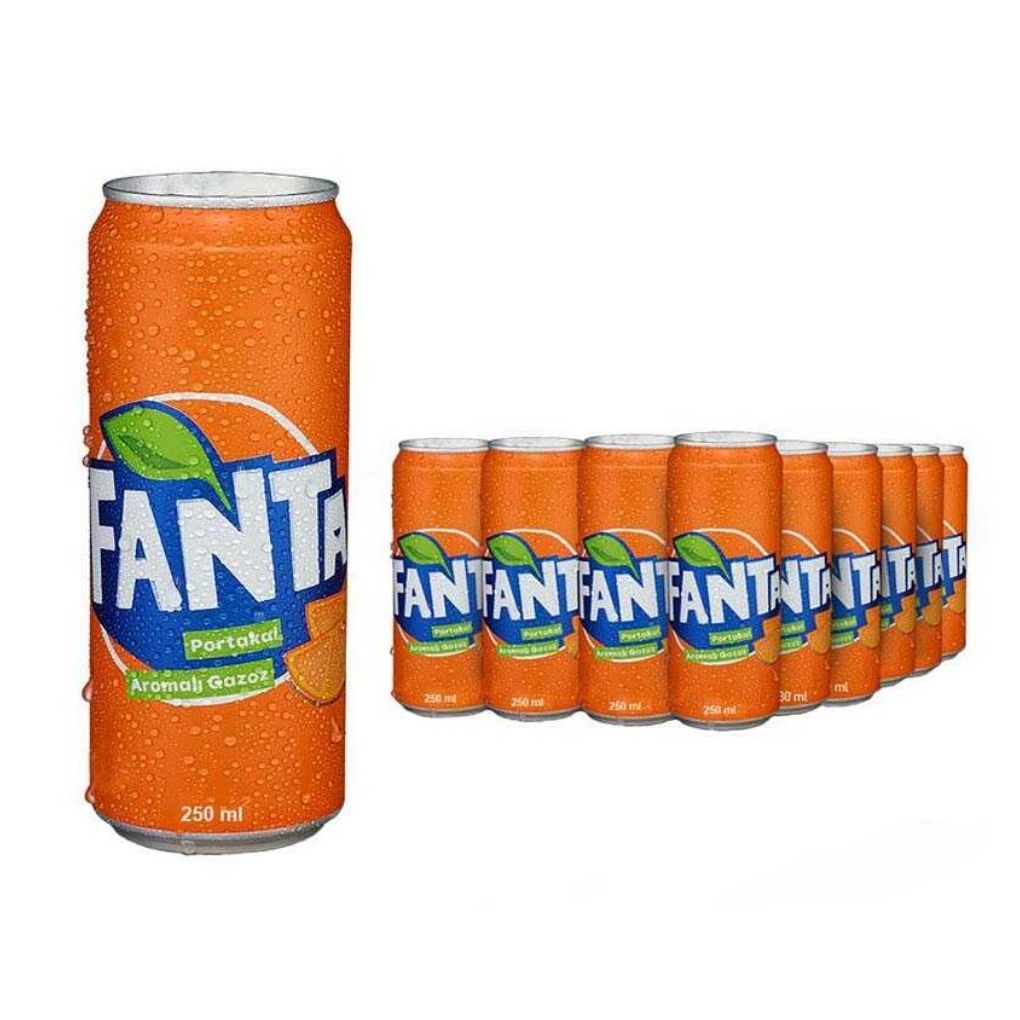 Fanta Portakal Kutu 250 Ml 24 Lü