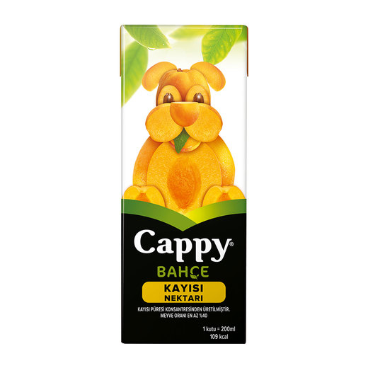 CAPPY KAYISI 200 ML