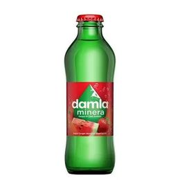 DAMLA KARPUZ ÇİLEK SODA 200ML