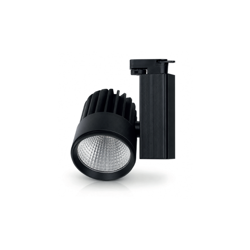 Ray Spot Armatür Siyah Kasa Samsung Ledli 6500K 40W hLite