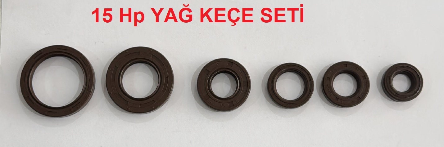 TEKNE MOTORU 15 HP YAĞ KEÇE SETİ