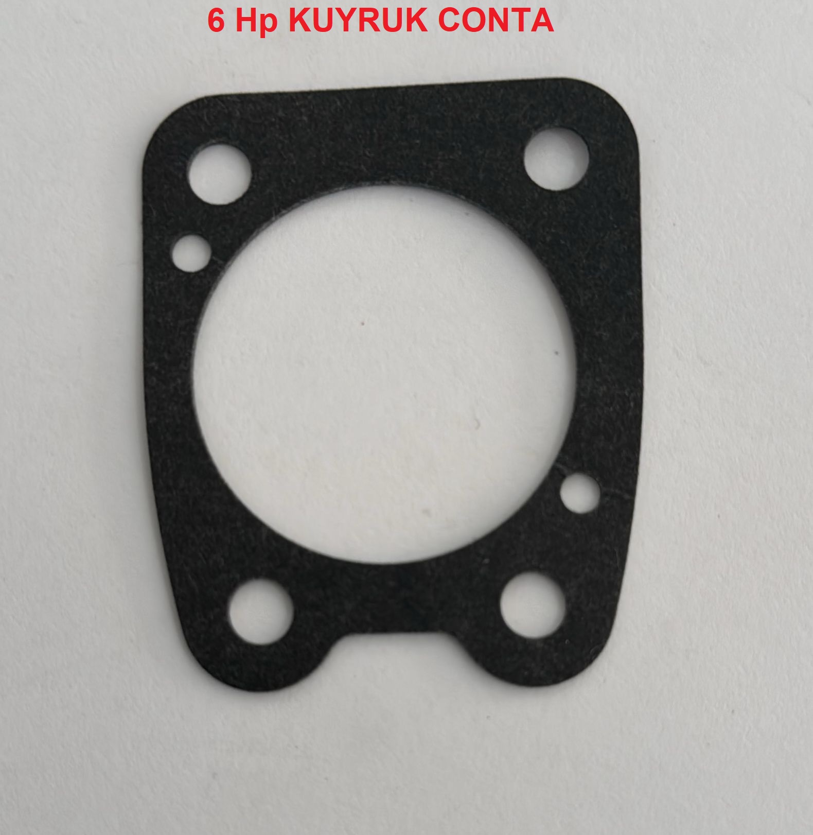 TEKNE MOTORU 6 HP KUYRUK CONTASI