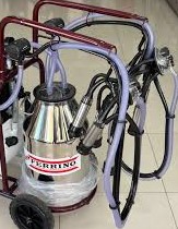 FERRİNO ÇİFT SAĞIM C40 KURU PASLANMAZ GÜĞÜM