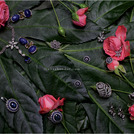 Untitled-5