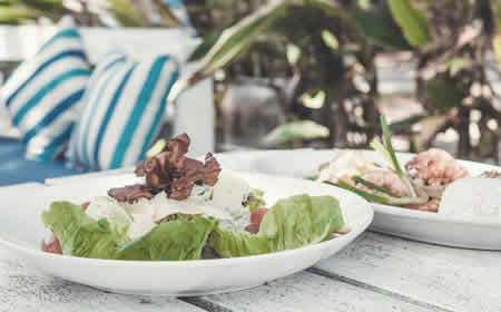 diet reviews