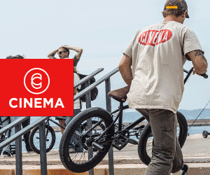 https://cinemabmx.com/products/williams-tire