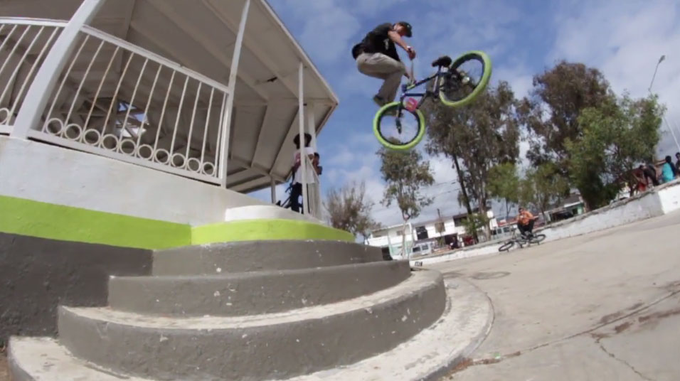 all day bmx shop