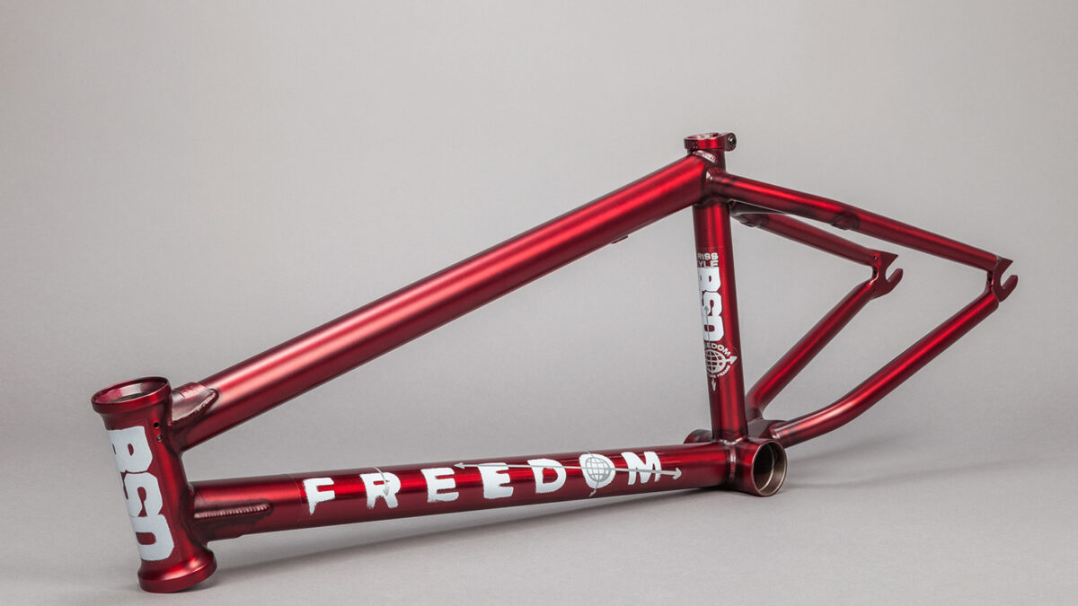 First Look - Kriss Kyle's BSD Freedom Frame | DIG BMX