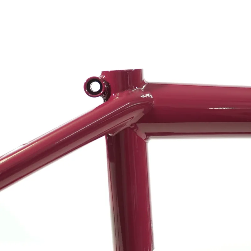 ALIVE INDUSTRY FTW Team Frame Burgundy7