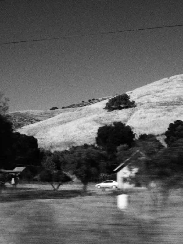 IMG 1901