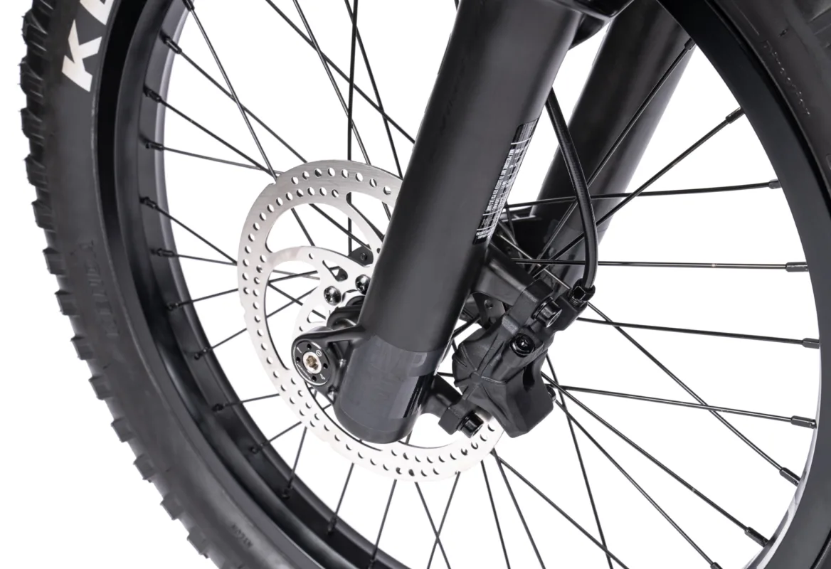 Wethepeople THE SWAMPMASTER matt black 19 web