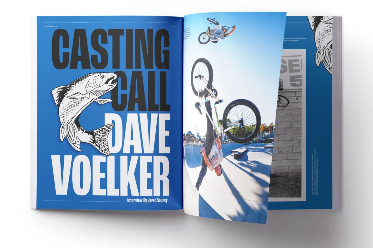 VOELKER GS3 Multi page mock up