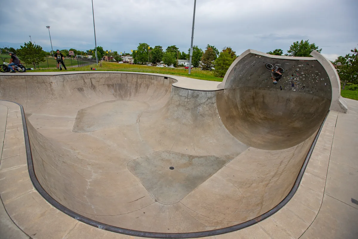 Robin Fullpipe 2