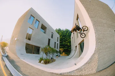 Shredd