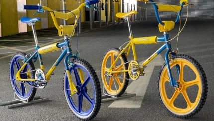 RALEIGH BURNER CROP