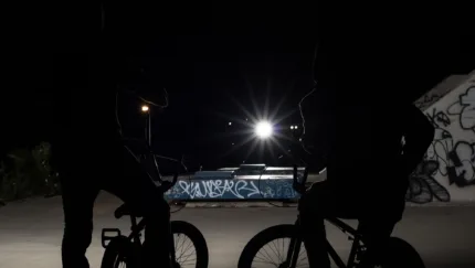 Etnies Chapters Elino Kc  W9 A9485