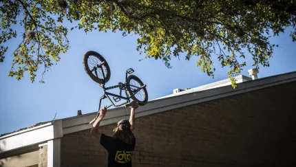 BSD Grime Safari Reed Stark Austin 6