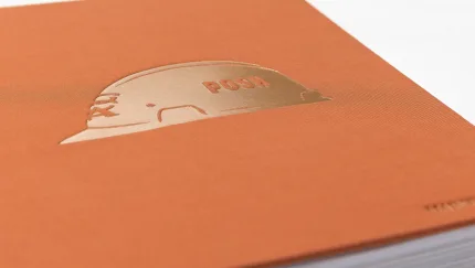 30 YRS POSH BOOK MNTN V V 004