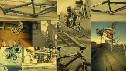 Short Frame Intro