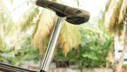 2019 Hoder Setups 21