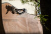Alcantara Bmx Etnies T1 Ramp Austin 3