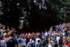 Ian Morris Backyard Jam Tbog 1994 Pd