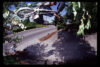 Osato Table Circa 04 Van Used For Wtp Ad By Ed Docherty