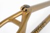 2Short Panza Gold4