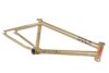 2Short Panza Gold7