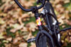 Bambi Bike Check Websize 4924