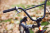 Bambi Bike Check Websize 4934