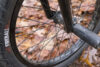 Bike Check 12 1 15 15 Copy
