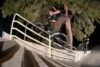 CINEMA Vegas Riding 24