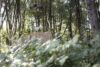 Christian Masur Mareike Schepelmann 360