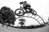 Dehart Bmx Dhrtint Phl Rainbowrail Rd