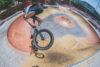 Dig Clnytrip9