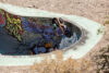 DIG NUDE BOWL PAVIA LOW RES-13